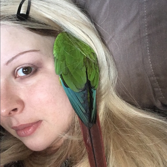 Meet your Posher, Marcy - Picture 1 of 1